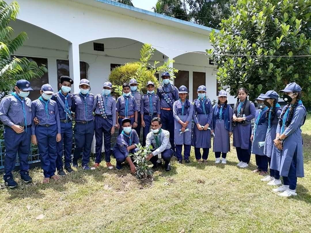গাছ লাগানো কর্মসূচি