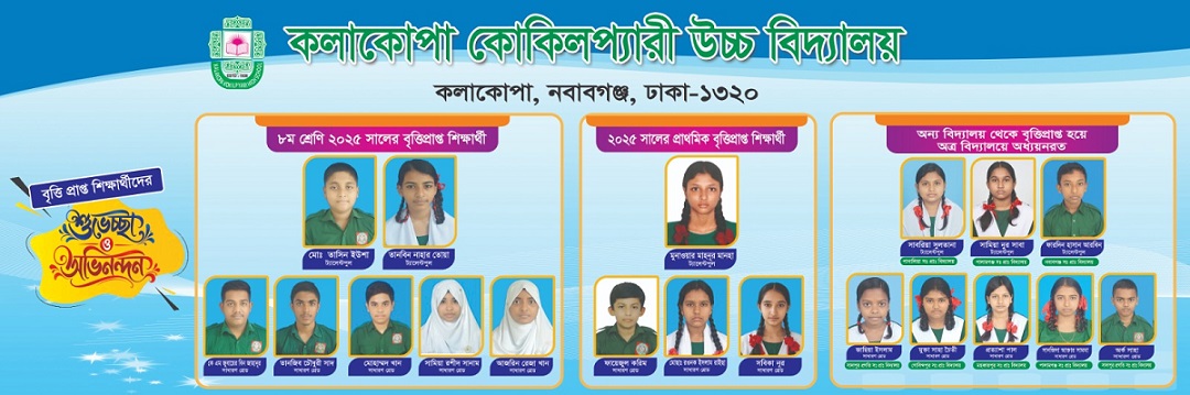২০২৫ সালে প্রাথমিক ও জুনিয়র বৃত্তিপ্রাপ্ত শিক্ষার্থী